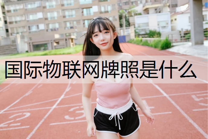 国际物联网牌照是什么