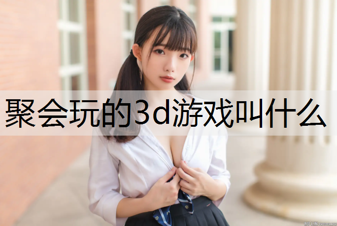 聚会玩的3d游戏叫什么